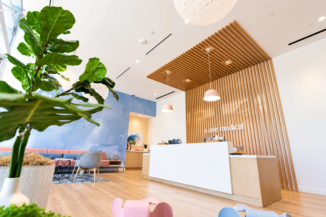 One Medical — Low view of the reception past a fiddle-leaf fig, with the timber-slat wall and the blue watercolour wall beyond